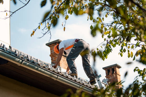 Best Residential Roofing Contractor  in Frankenmuth, MI