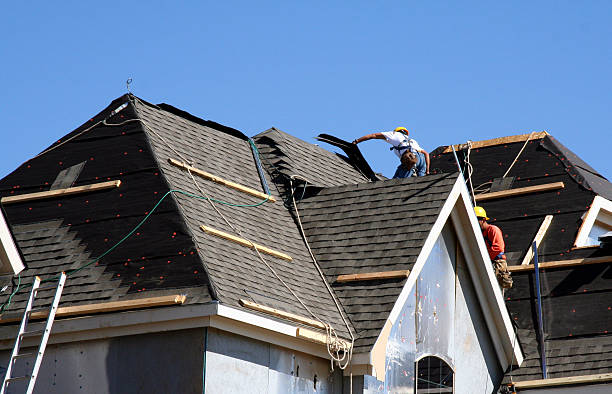 Best Roof Gutter Cleaning  in Frankenmuth, MI