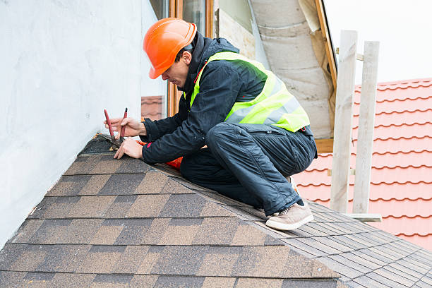 Best Flat Roof Repair Services  in Frankenmuth, MI